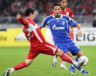 春节期间游 春节期间游